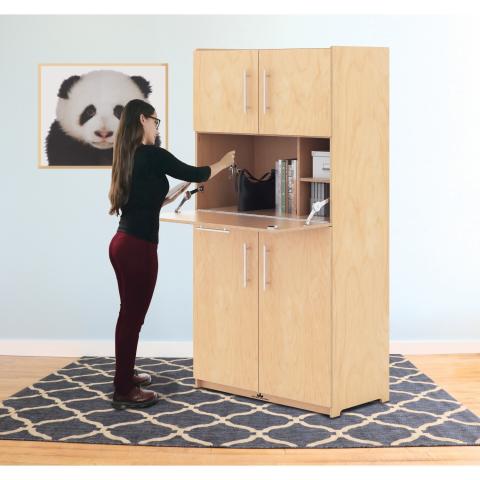 WB1819 - Teacher Work Station Cabinet