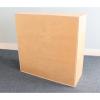 WB3535 - Lockable Wall Mounted Cabinet (back)