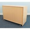 CH0284 Whitney Plus Green Tray Storage Cabinet