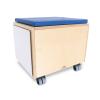 WB1685 - STEM Activity Mobile Storage Bin