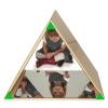 WB0719 - Triangle Mirror Tent